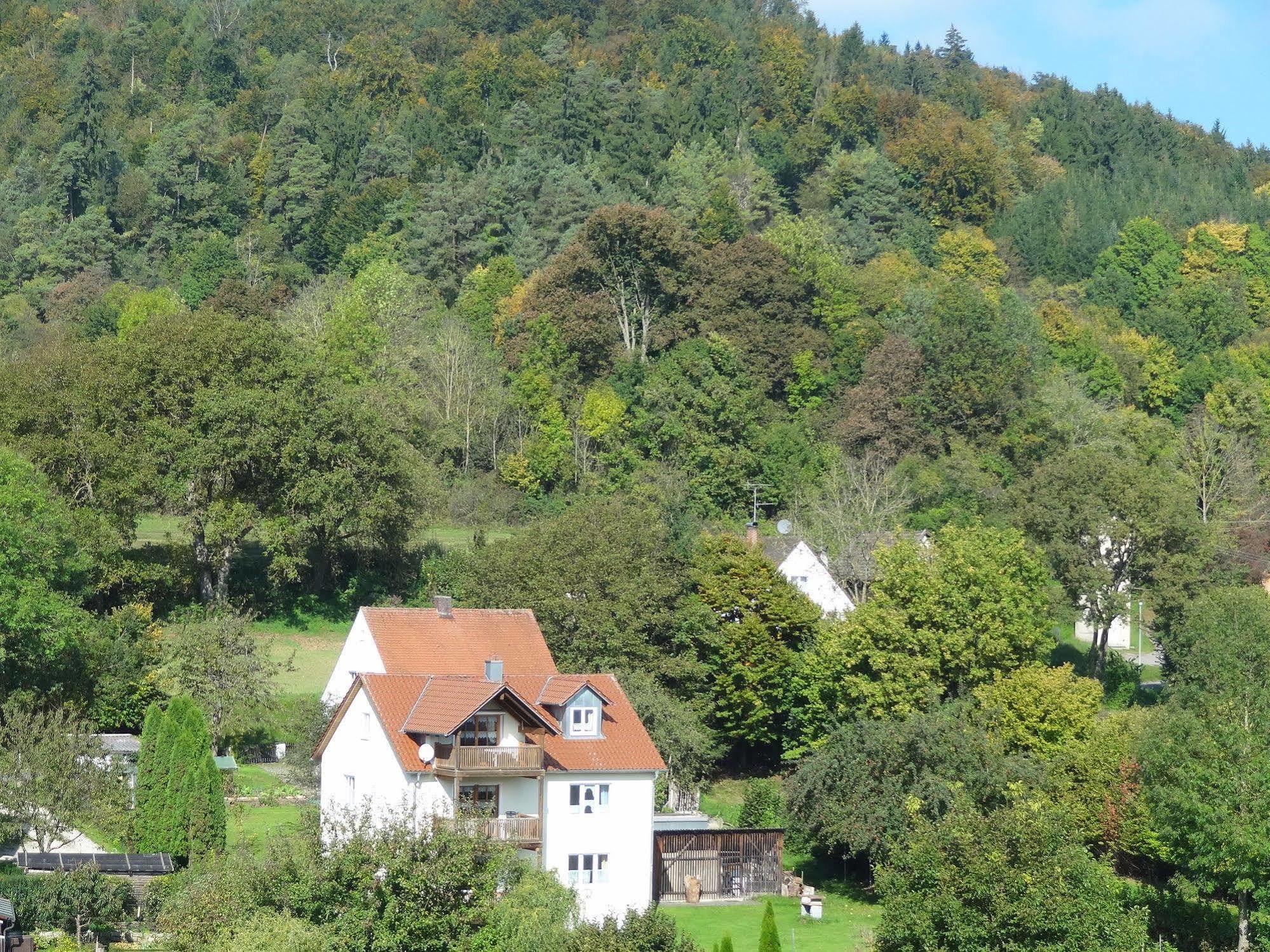 Donauer Im Altmuehltal - Ferienwohnungen Biberbach  Buitenkant foto