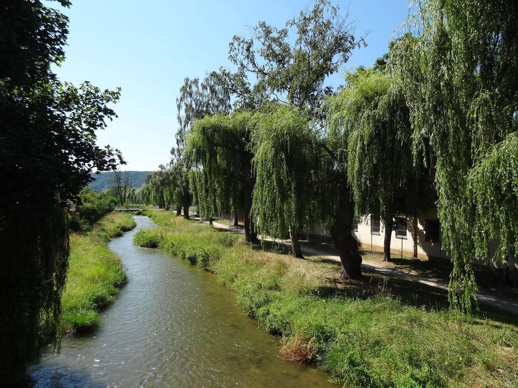 Donauer Im Altmuehltal - Ferienwohnungen Biberbach  Buitenkant foto