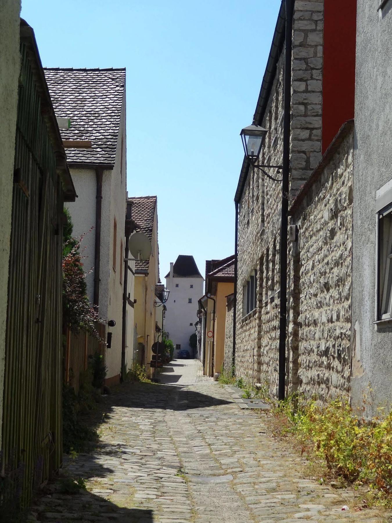 Donauer Im Altmuehltal - Ferienwohnungen Biberbach  Buitenkant foto
